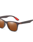 Polarized Sunglasses Varicolored