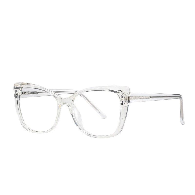 TR90 Tortoiseshell Glasses