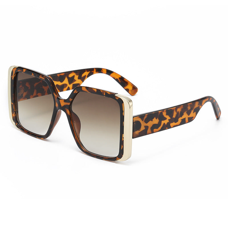 Big Frame Square Sunglasses