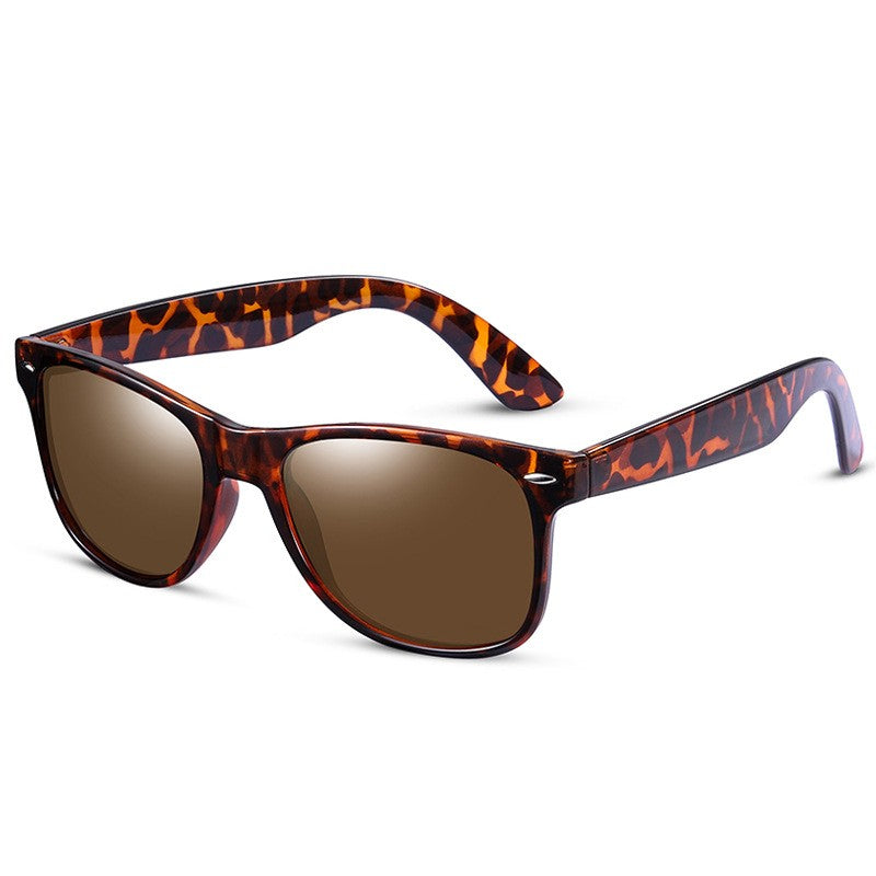 Polarized Sunglasses