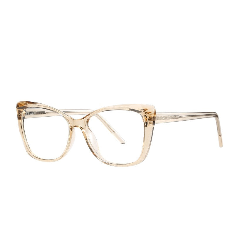 TR90 Tortoiseshell Glasses