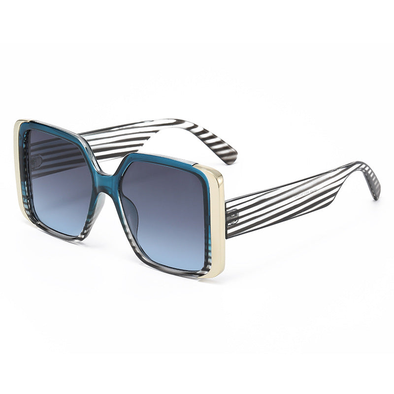 Big Frame Square Sunglasses