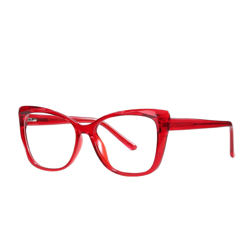 TR90 Tortoiseshell Glasses